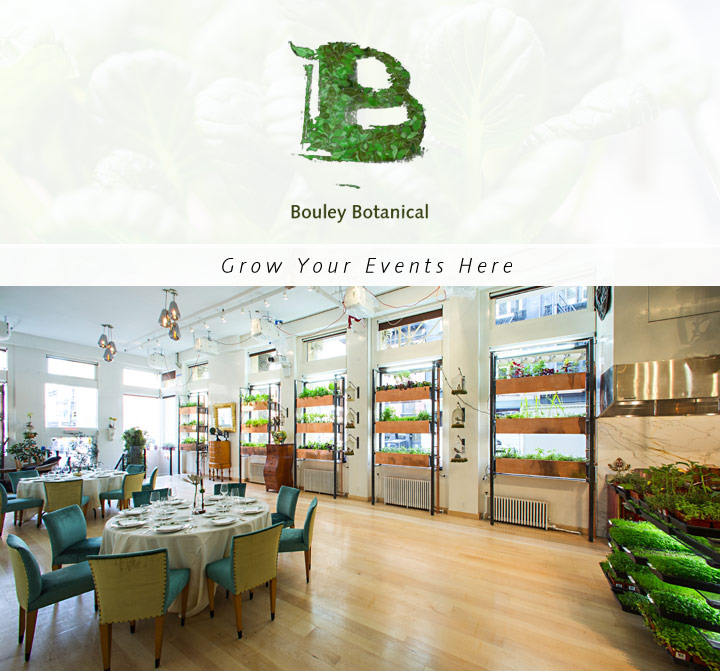 Bouley Test Kitchen Menu Bouley Test Kitchen Menu
