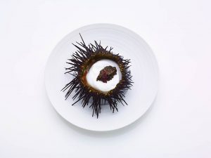 Bouley Uni Sea Urchin